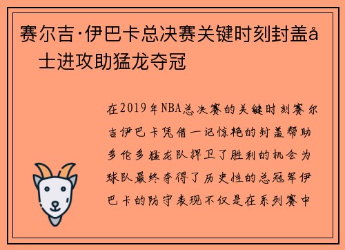 赛尔吉·伊巴卡总决赛关键时刻封盖勇士进攻助猛龙夺冠