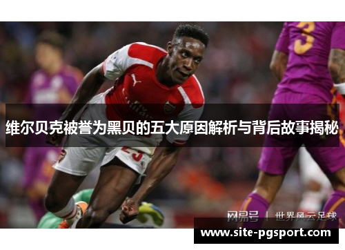 维尔贝克被誉为黑贝的五大原因解析与背后故事揭秘