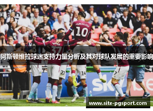 阿斯顿维拉球迷支持力量分析及其对球队发展的重要影响